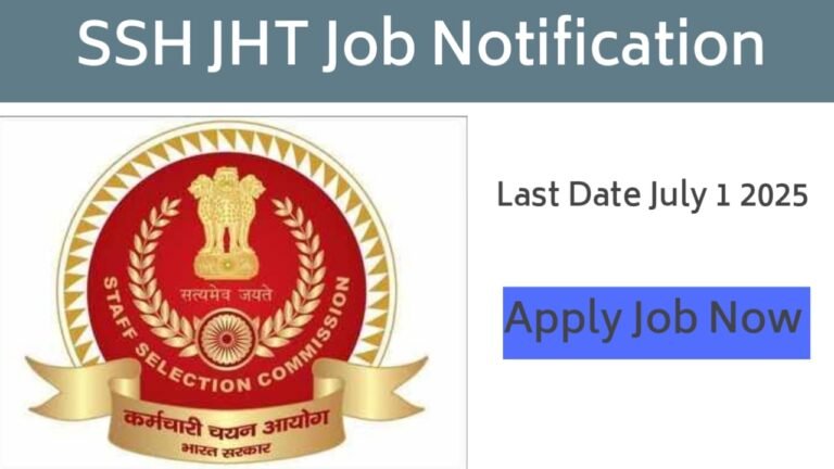 Hindi Translator Job
